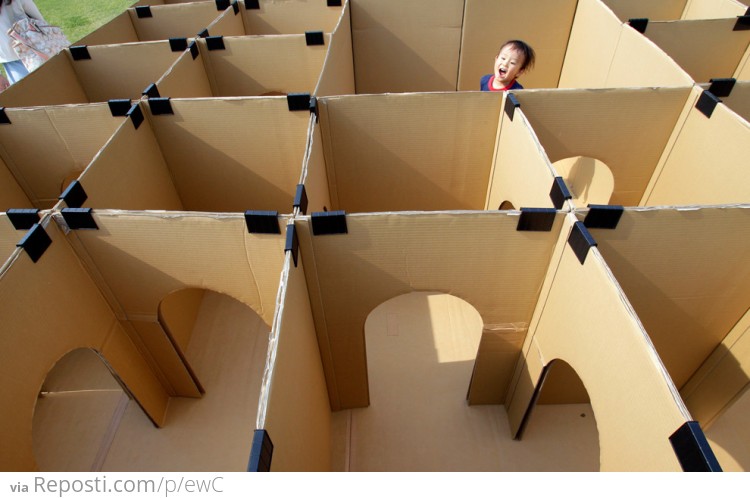 Maze made from cardboard boxes