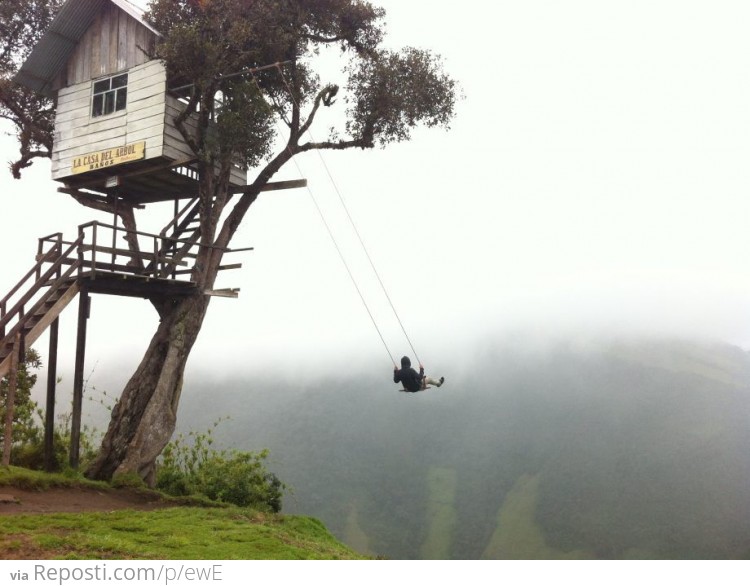 Tree House