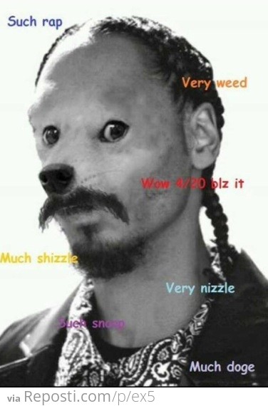 Snoop doge