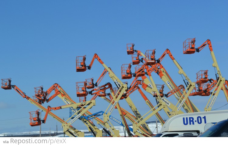 Flock of cranes