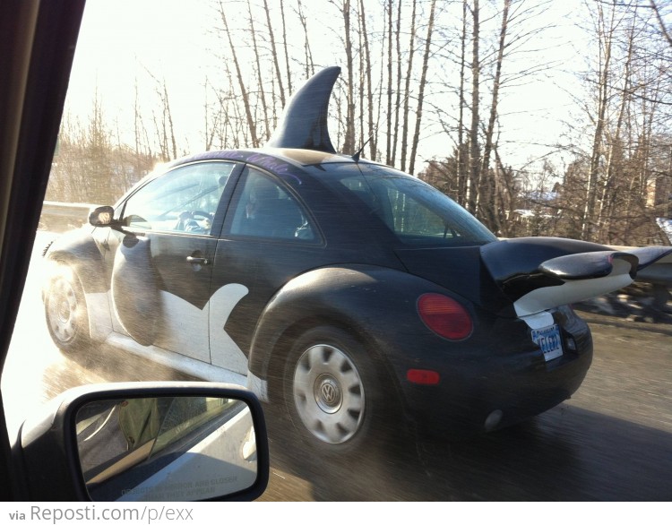 Orca-Car?