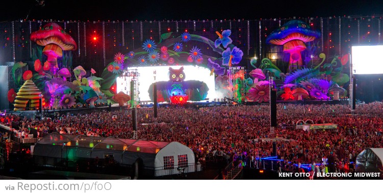 ###Main Stage @ Electric Daisy Carnival 2013 - Las Vegas, Nevada
