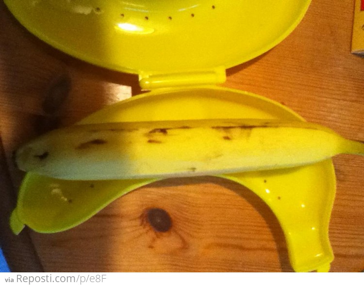 Useless Banana Holder