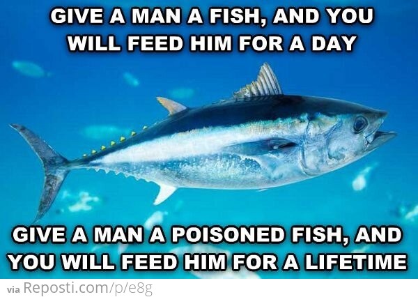 give a man a fish