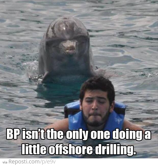 BP Drilling