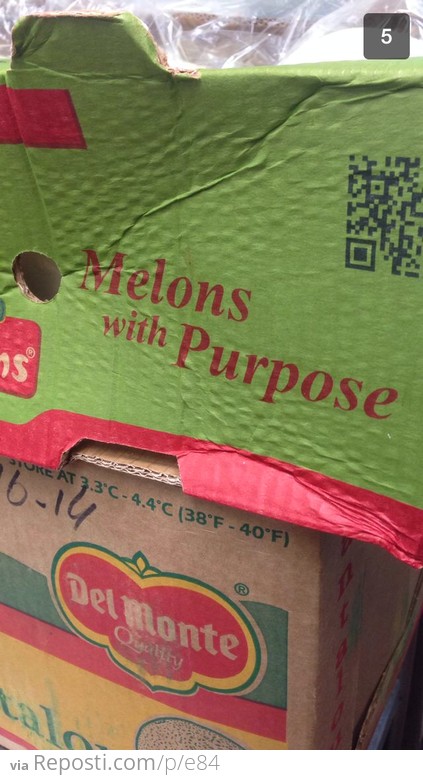 Melons with purpose