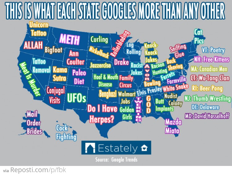 What each state Googles most