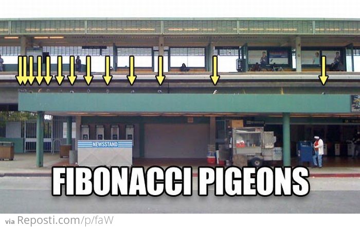 Pidgeonacci Sequence