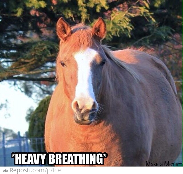 Heavy Breathing Horse