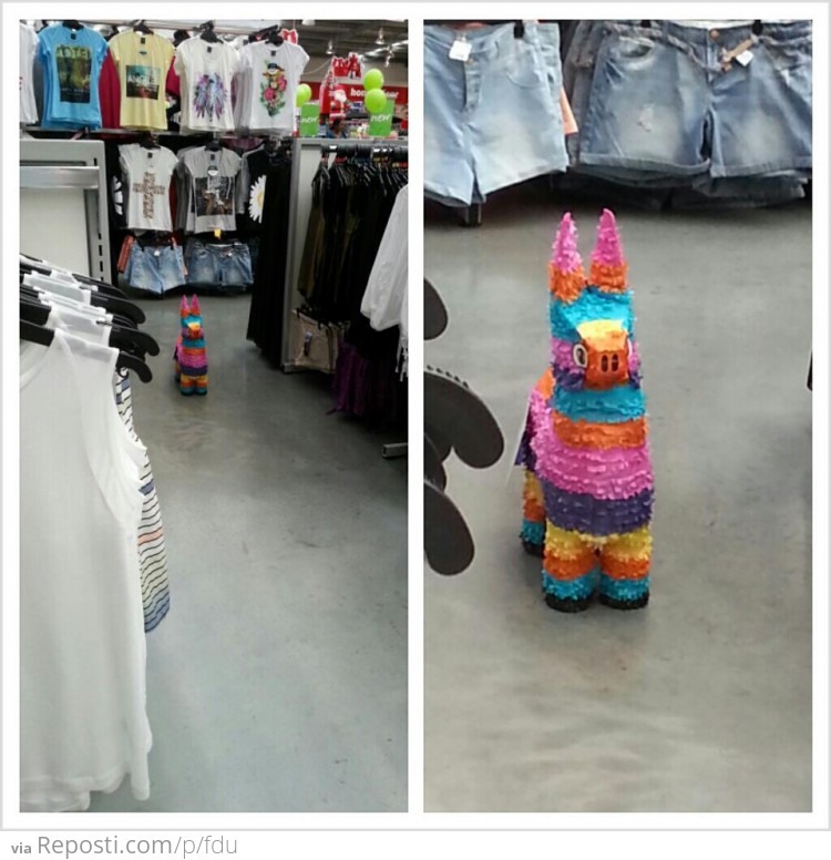 Suddendly... piñata