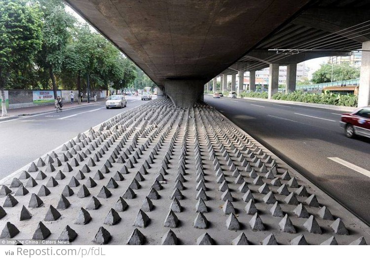 Homeless-proof Chinese bridge