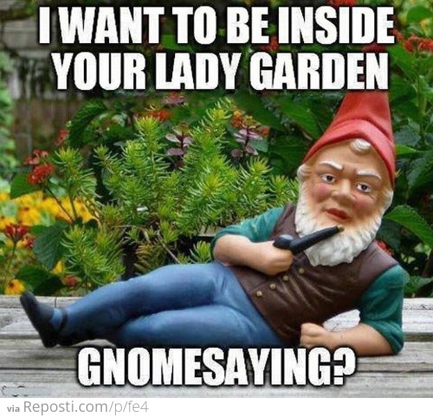 Gnome Garden