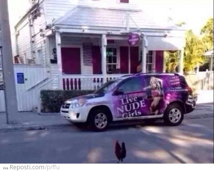 So that's why the chicken crossed the road