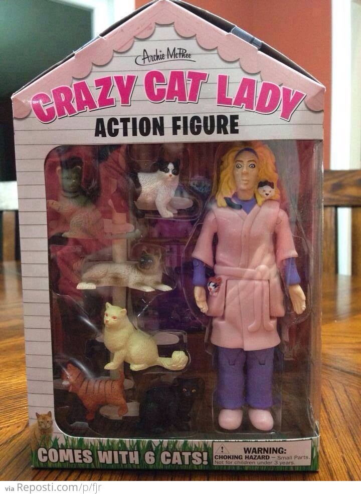 Crazy Cat Lady Action Figure