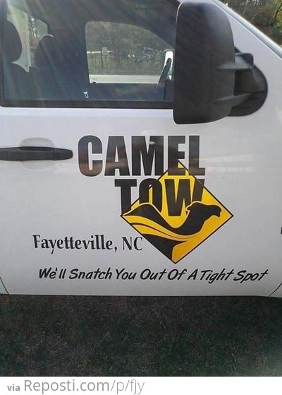 Camel Tow