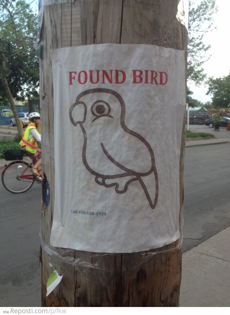 I'm pretty sure they're getting a lot of calls about this bird