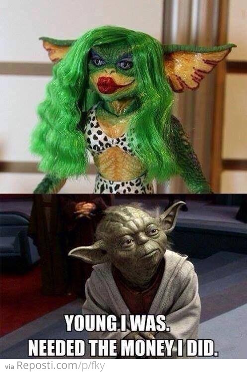 Yoda's Early Years