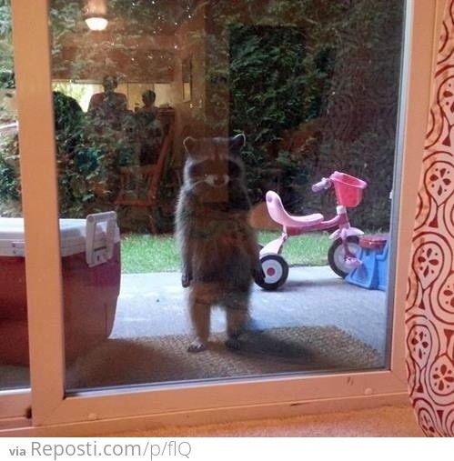 Dude, it's me Jim, let me in