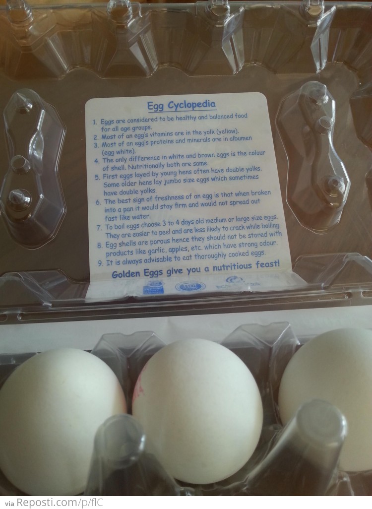 Egg user manual