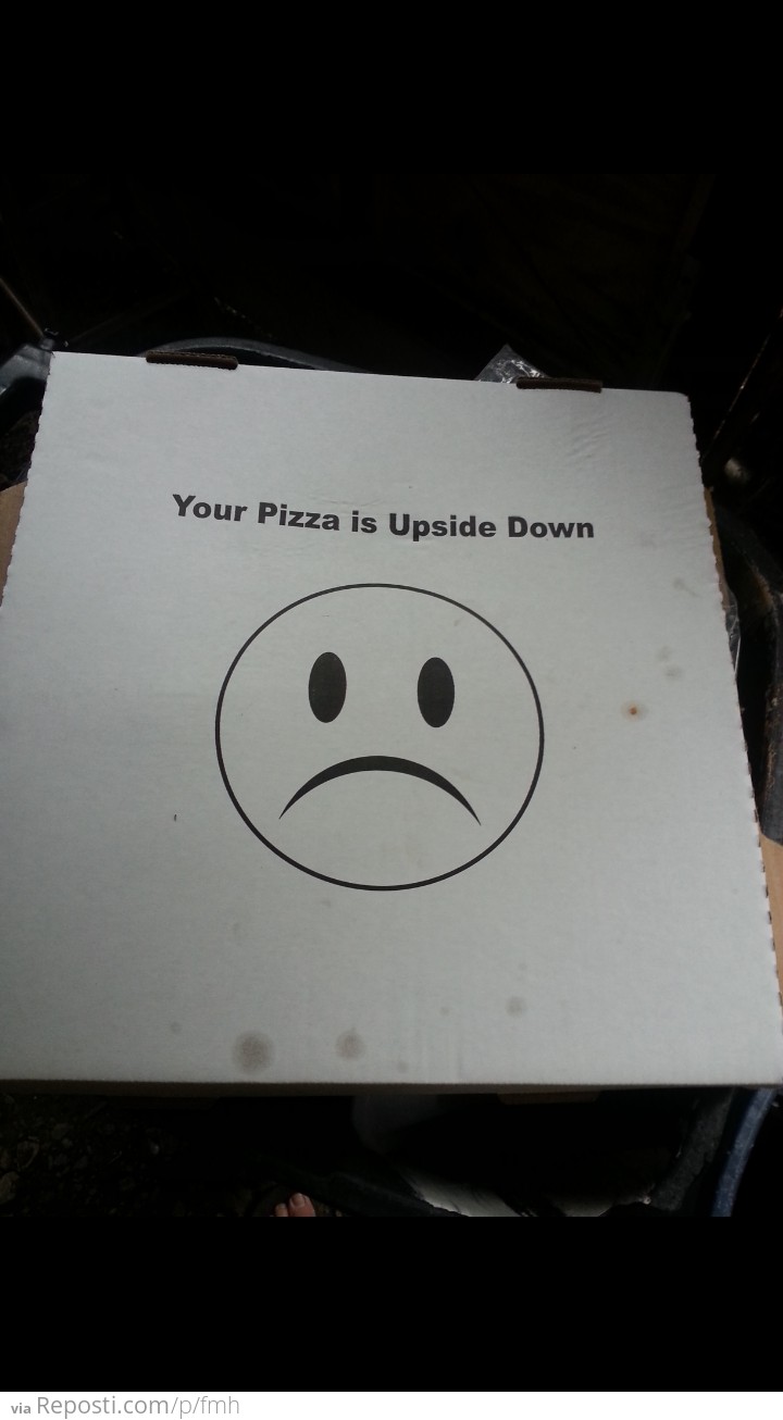 Bottom of the pizza box