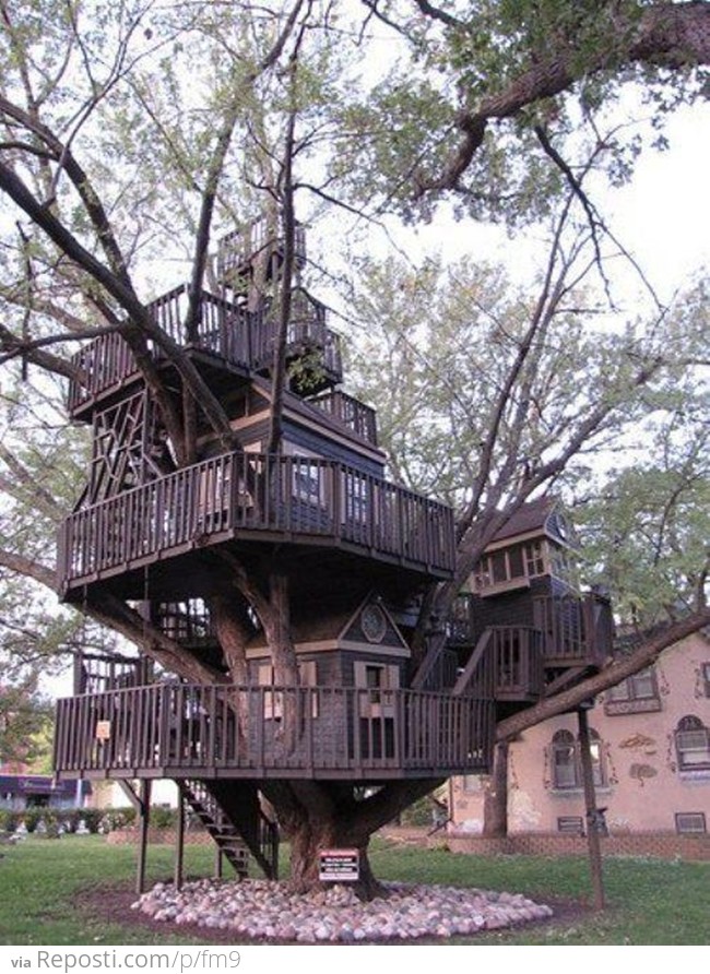 Tree Mansion