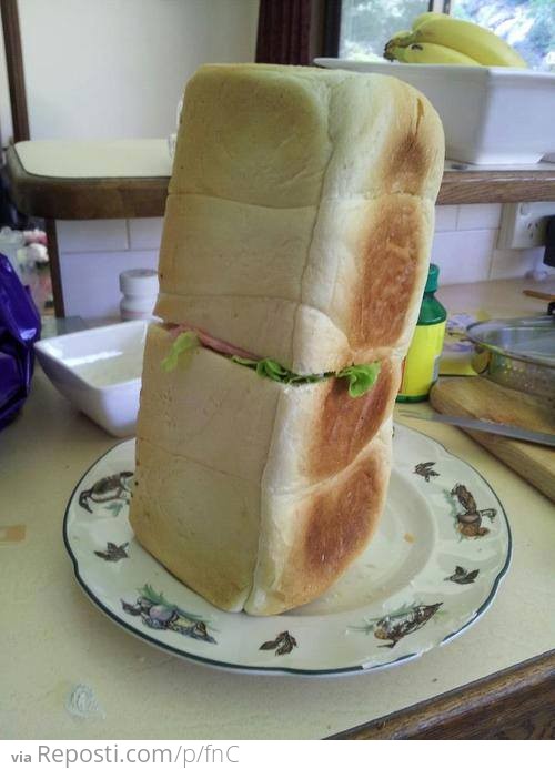 Only had enough bread for one sandwich