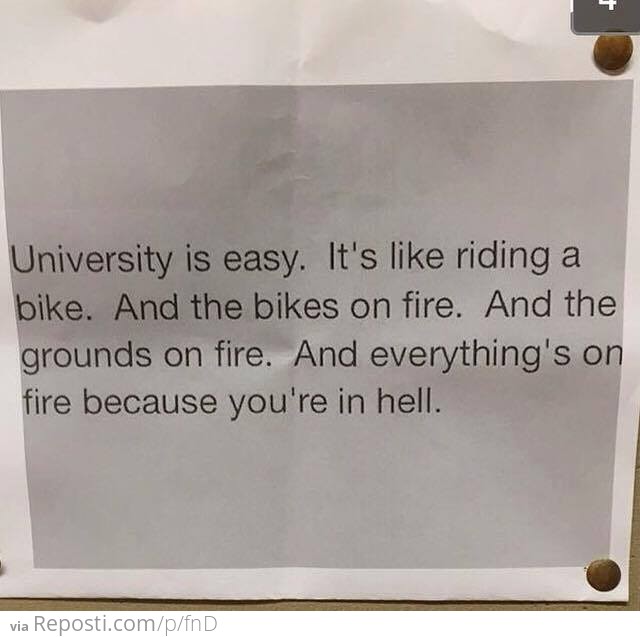 University Is Easy