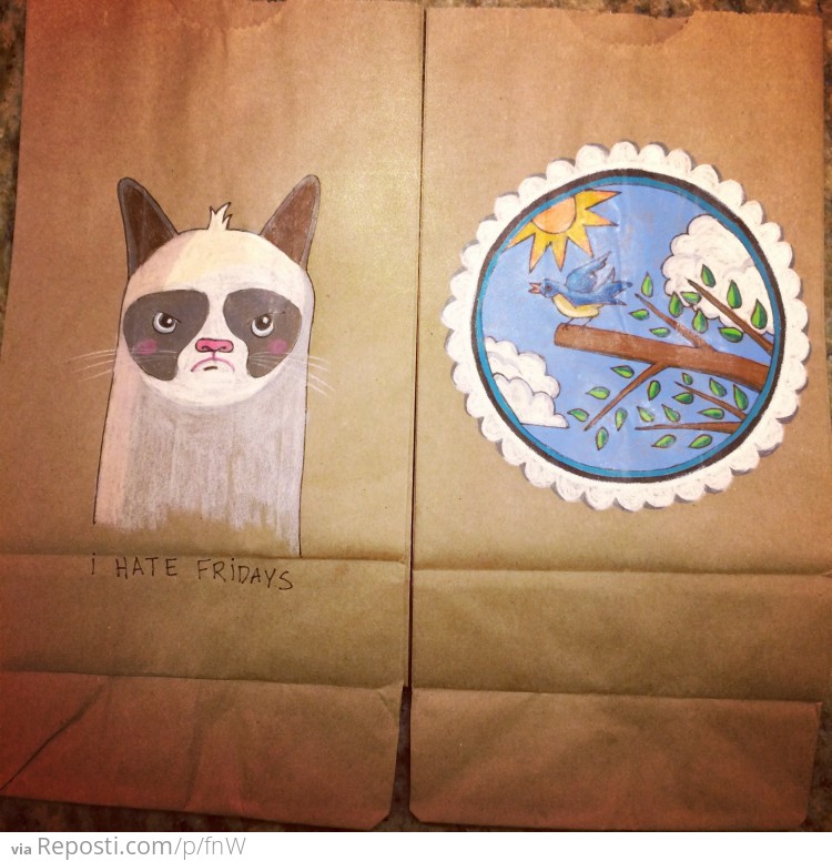 ###Grumpy cat and spring thing
