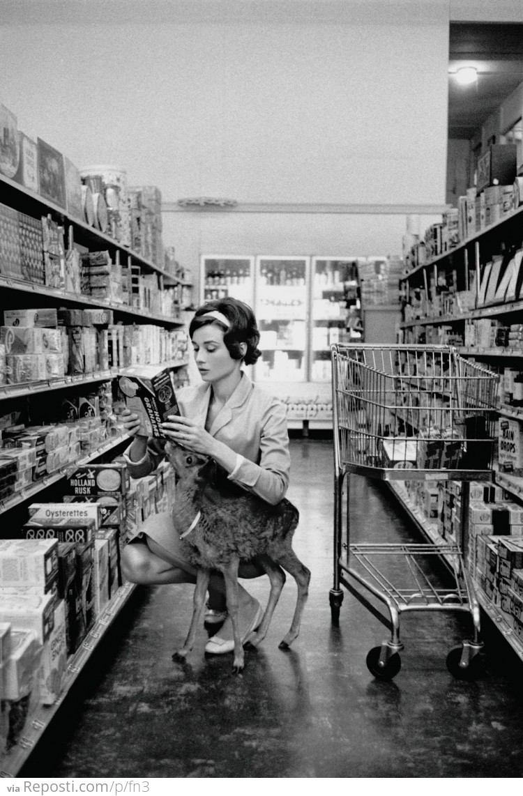 Audrey Hepburn shopping with her pet deer “Ip” in Beverly Hills, CA, 1958
