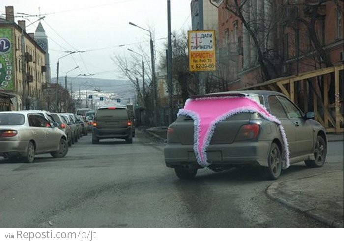 Car Panties