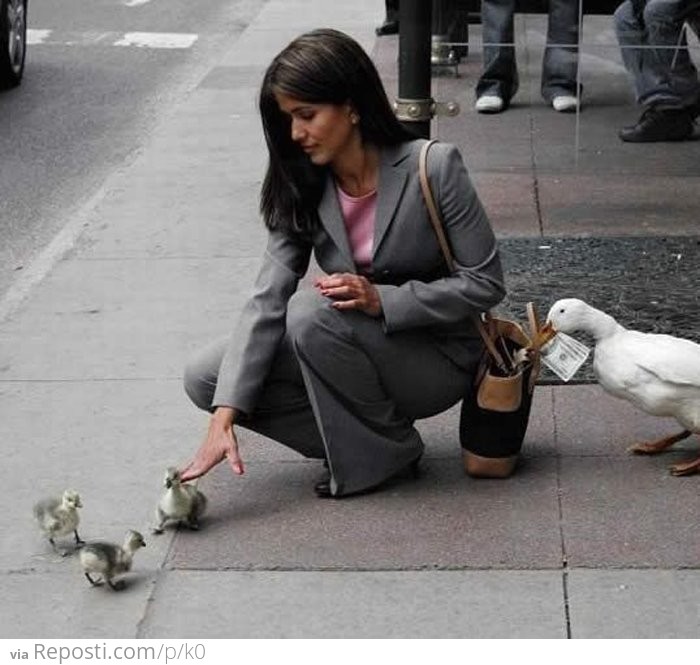 Duckling Misdirection