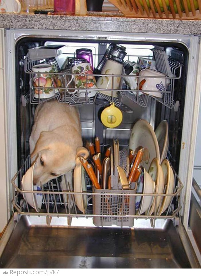 Energy Saving Dishwasher