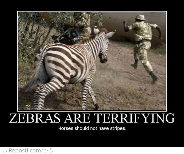 Zebras