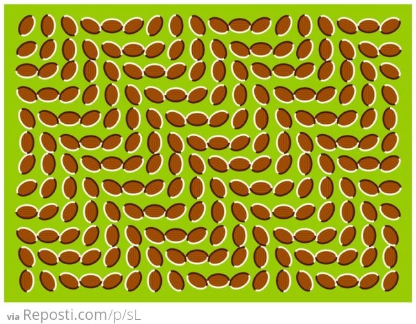 Crazy Illusion