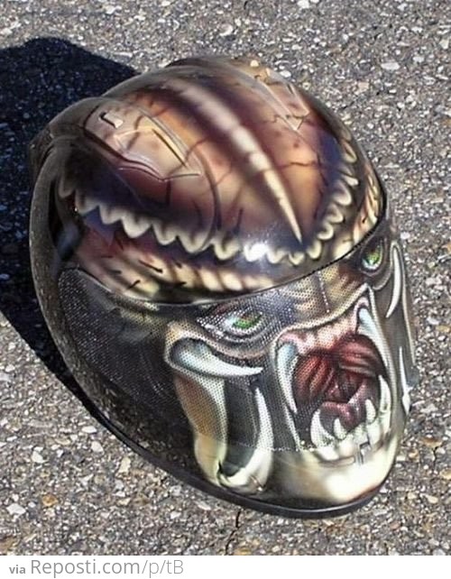 Sweet Predator Motorcycle Helmet