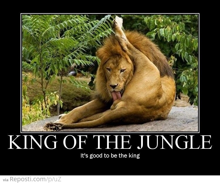 King of The Jungle