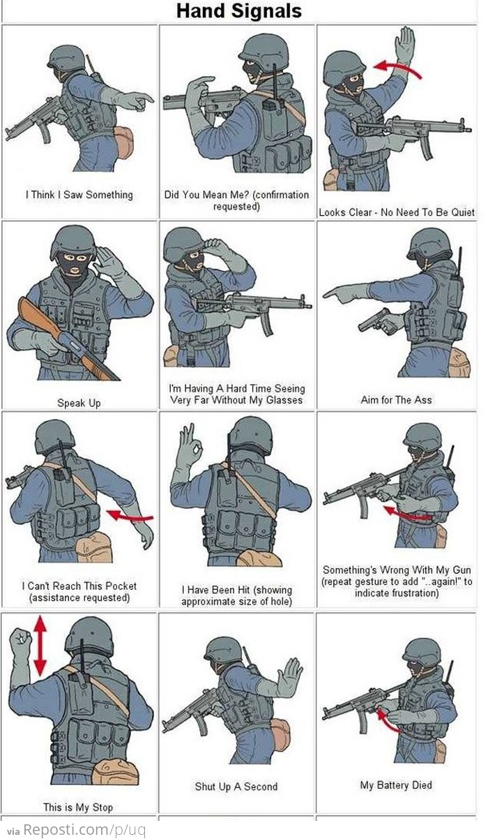 Swat Hand Signals Reposti