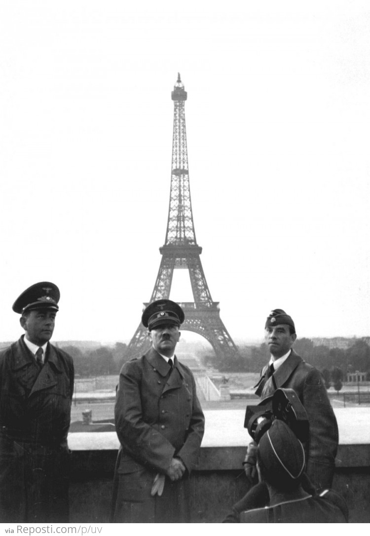 Hitler Takes France