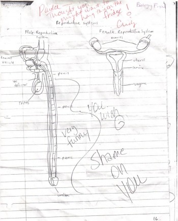 Male and Female Anatomy