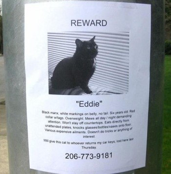 Missing - Reward