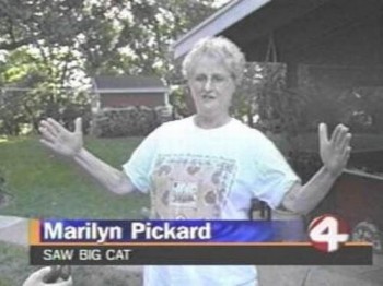 She Saw A Big Cat