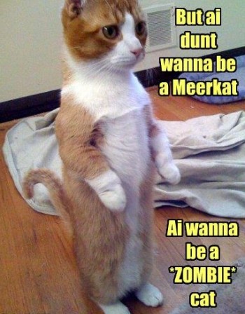 Zombiecat