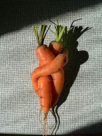 Twisted Carrots