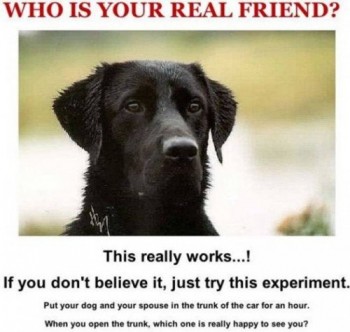 Real Friend