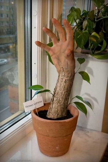 Arm Plant