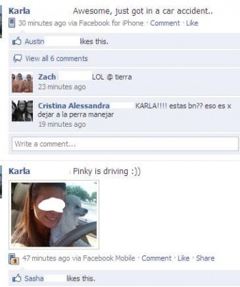Pinky Is Driving