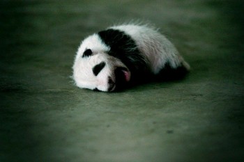 Yawn