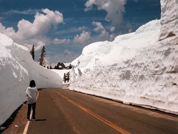 A Bit of Snow