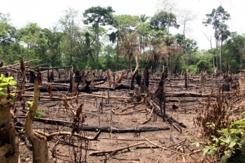 Diamond Mining in Sierra Leone