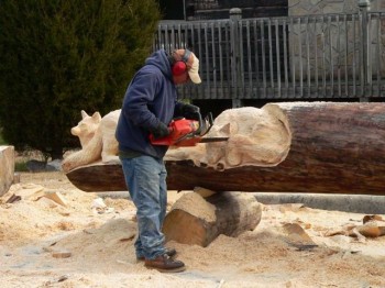 Wood Carved Statues